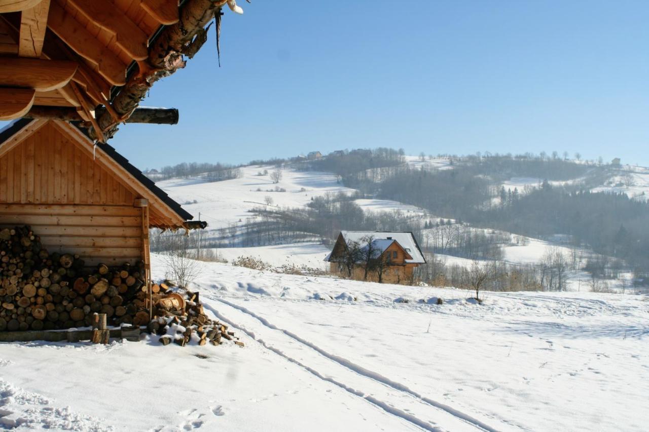 Moja Chata Do Wynajecia Istebna Luaran gambar